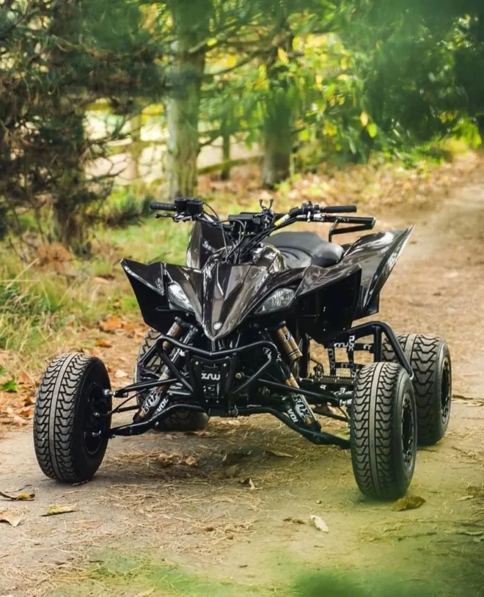 Yamaha raptor 450